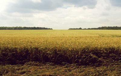 NBA交易汇总